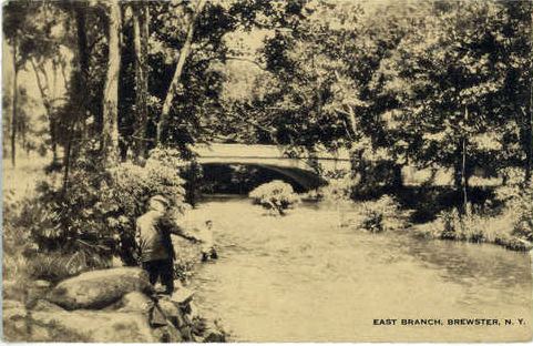 East Branch Croton River httpsdeadbaitfileswordpresscom201107east