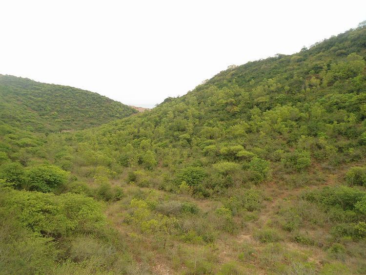 East Deccan dry evergreen forests
