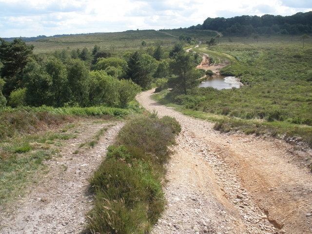 East Devon Pebblebed Heaths