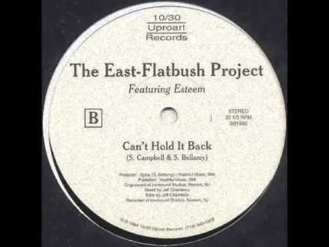 East Flatbush Project East Flatbush Project A Madman39s Dream Can39t Hold It