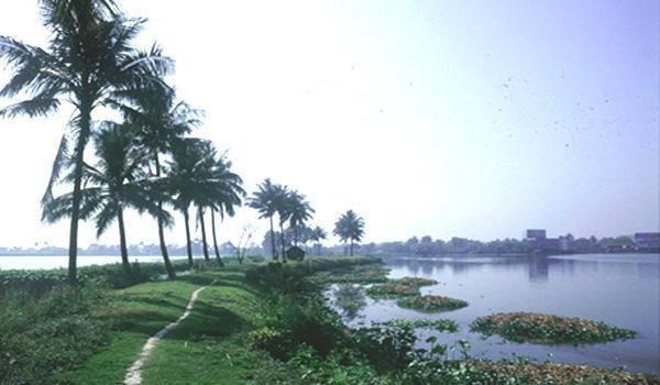 East Kolkata Wetlands photoswikimapiaorgp0004164890bigjpg