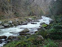 East Lyn River httpsuploadwikimediaorgwikipediacommonsthu