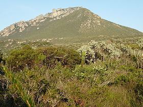 East Mount Barren httpsuploadwikimediaorgwikipediacommonsthu