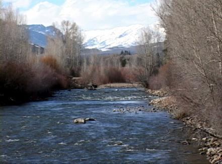 East River (Colorado) wwwperfectflystorecomsitebuilderimageseastr3