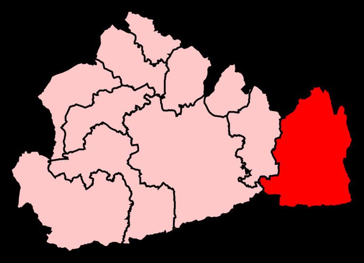 East Surrey (UK Parliament constituency)