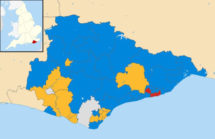 East Sussex County Council election, 2009