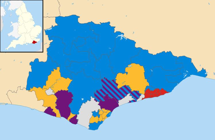 East Sussex County Council election, 2013