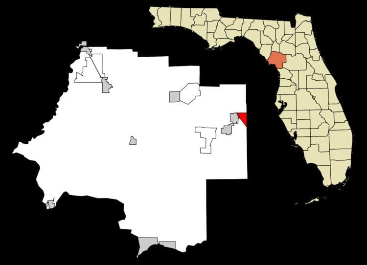 East Williston, Florida