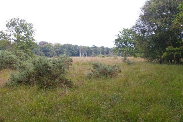 East Winch Common