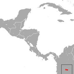 Eastern Cordillera small-footed shrew httpsuploadwikimediaorgwikipediacommonsthu