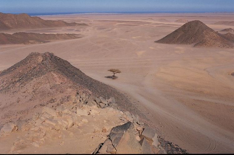 Eastern Desert httpsuploadwikimediaorgwikipediaenaa1Egy