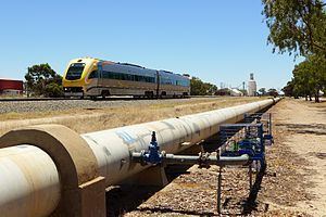 Eastern Goldfields Railway httpsuploadwikimediaorgwikipediacommonsthu