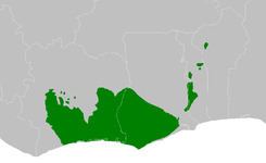 Eastern Guinean forests httpsuploadwikimediaorgwikipediacommonsthu
