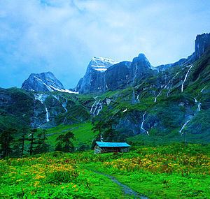 Eastern Himalayan alpine shrub and meadows httpsuploadwikimediaorgwikipediacommonsthu