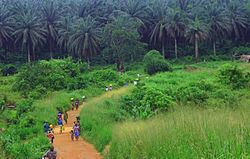 Eastern Province, Sierra Leone httpsuploadwikimediaorgwikipediacommonsthu