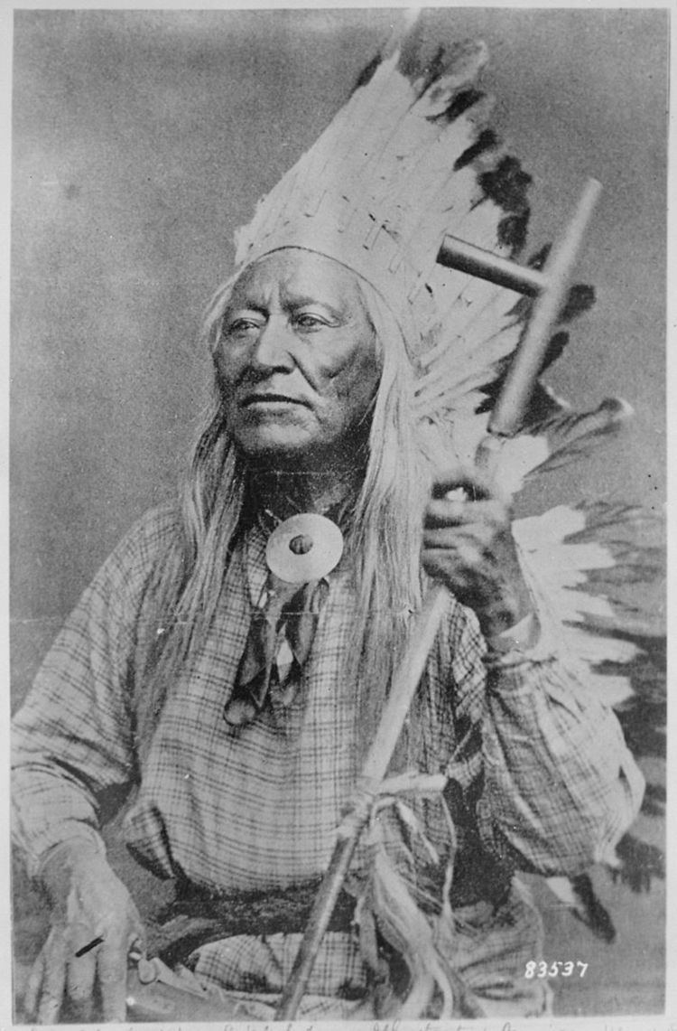 Eastern Shoshone