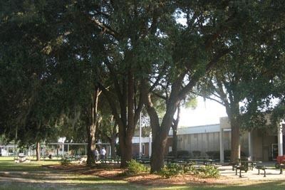 Eastside High School (Gainesville, Florida)