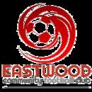 Eastwood Community F.C. httpsuploadwikimediaorgwikipediaenthumba