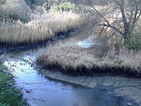 Ebbsfleet River httpsuploadwikimediaorgwikipediacommonsthu