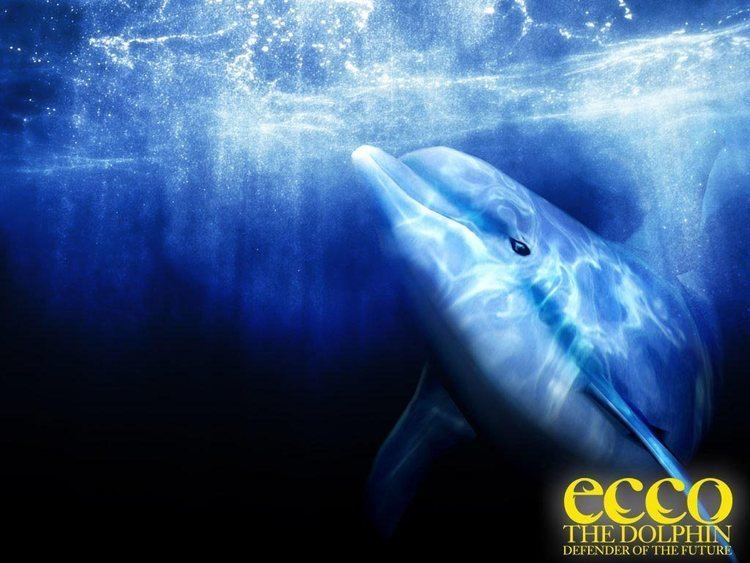 Ecco the Dolphin: Defender of the Future Ecco the Dolphin Defender of the Future Wallpapers