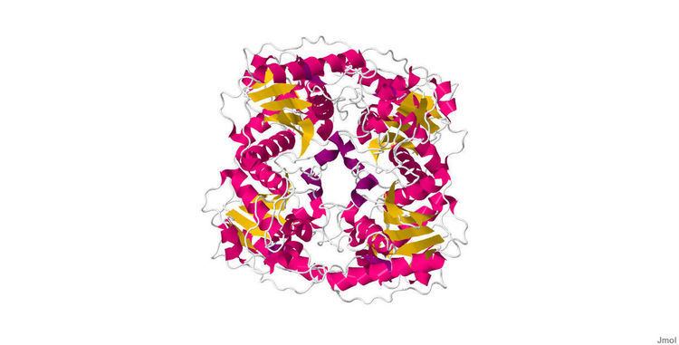 Ecdysteroid Phosphate Phosphatase Alchetron The Free Social Encyclopedia 1433