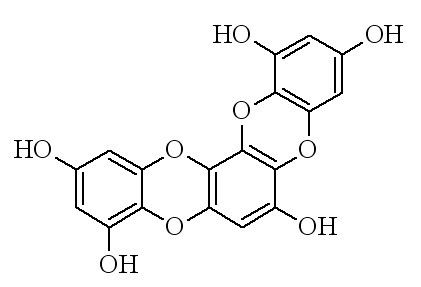 Eckstolonol httpsuploadwikimediaorgwikipediacommonsee