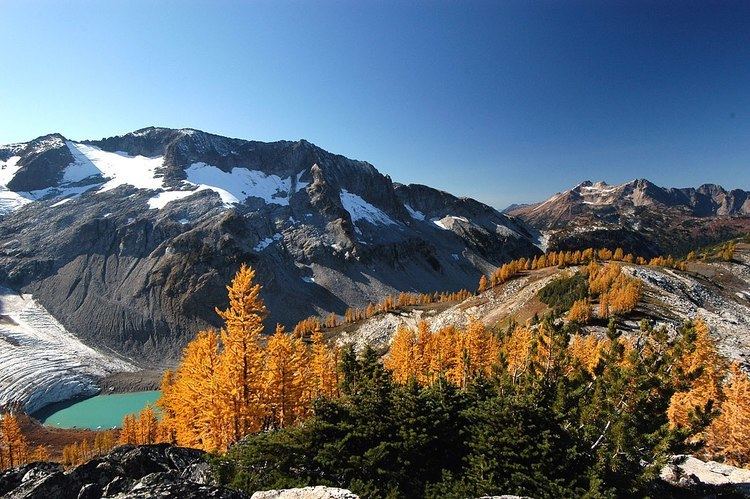 Ecology of the North Cascades
