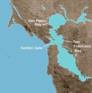 Ecology of the San Francisco Estuary