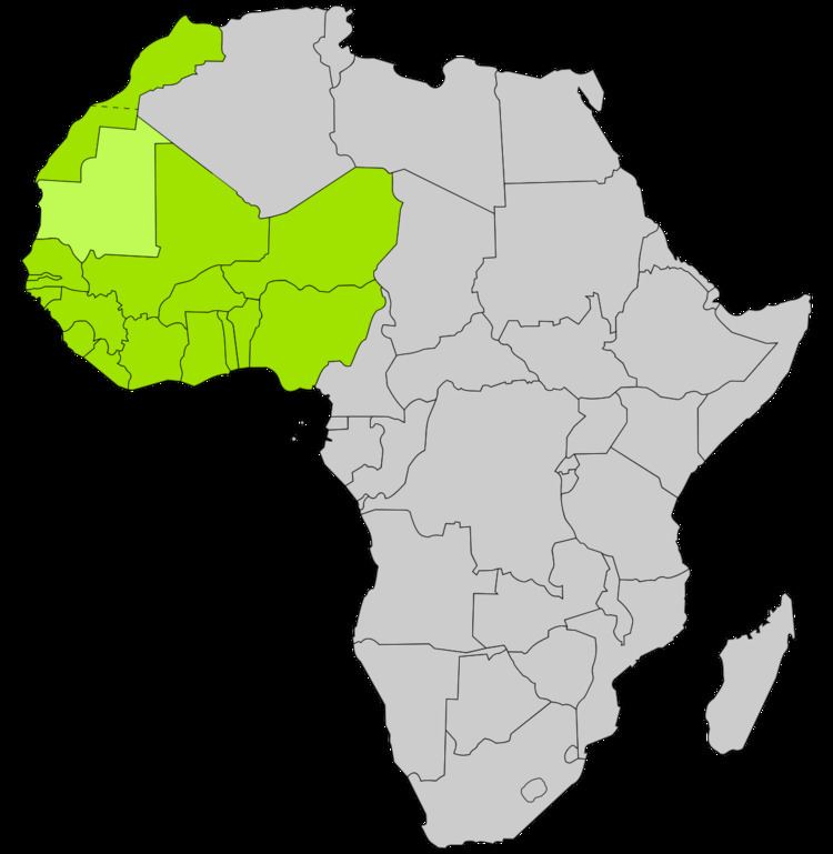 Economic Community of West African States Monitoring Group