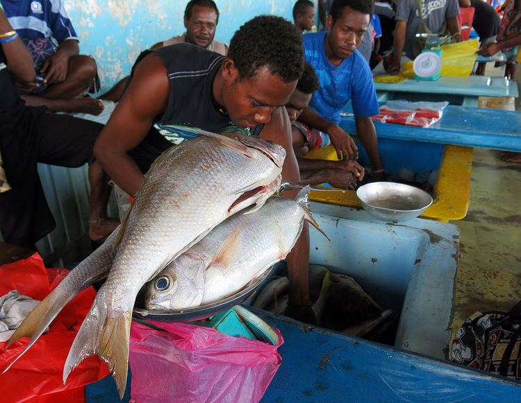 Economy of the Solomon Islands