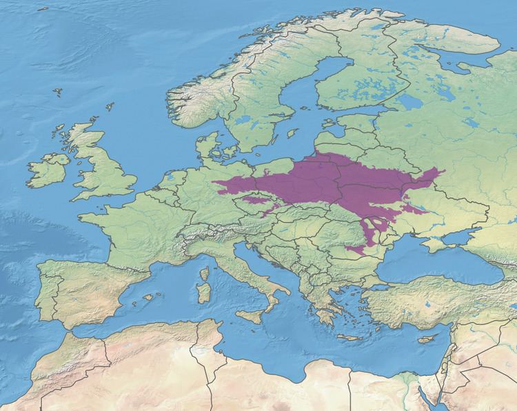 Ecoregions in Poland