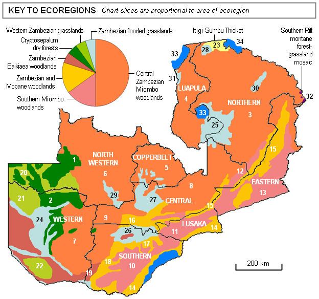 Ecoregions of Zambia