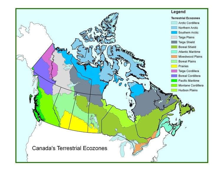 Ecozones of Canada Forest classification Natural Resources Canada