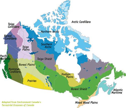 Ecozones of Canada Canada39s Ecozones Evergreen