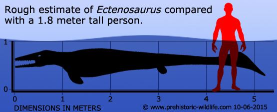Ectenosaurus wwwprehistoricwildlifecomimagesspecieseecte