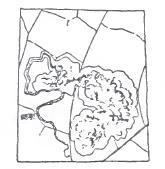 Ectoedemia nyssaefoliella