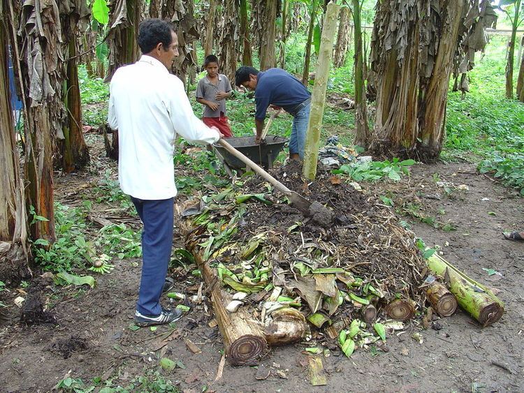 Ecuador composting method