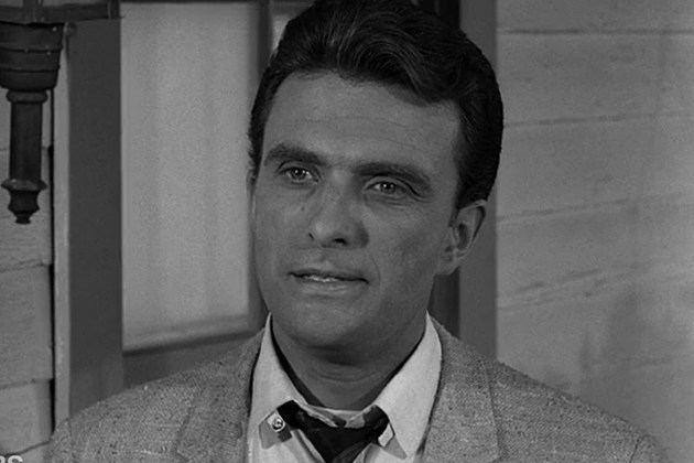 Ed Nelson Peyton Place Actor Ed Nelson Dies at 85