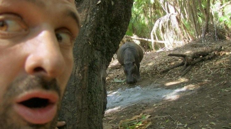 Ed Stafford A Hippo Visits Ed39s Camp Marooned With Ed Stafford YouTube