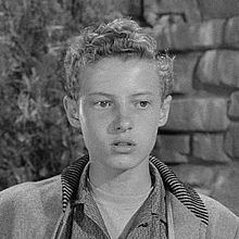 actor eddie haskell