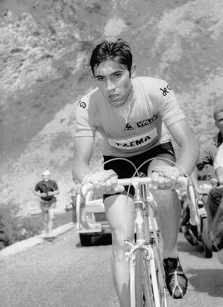 Eddy Merckx Eddy Merckx Catena Cycling