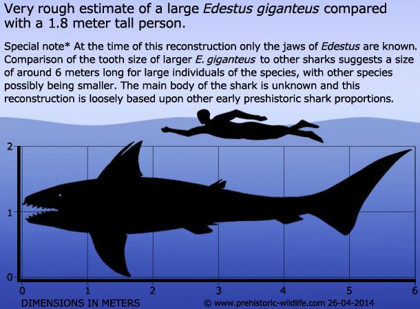 Edestus, Jurassic World: The Game Wiki