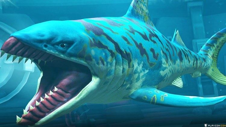 Edestus NEW Lagoon Species Shark The EDESTUS SEA MONSTER Jurassic World