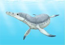 Edgarosaurus httpsuploadwikimediaorgwikipediacommonsthu
