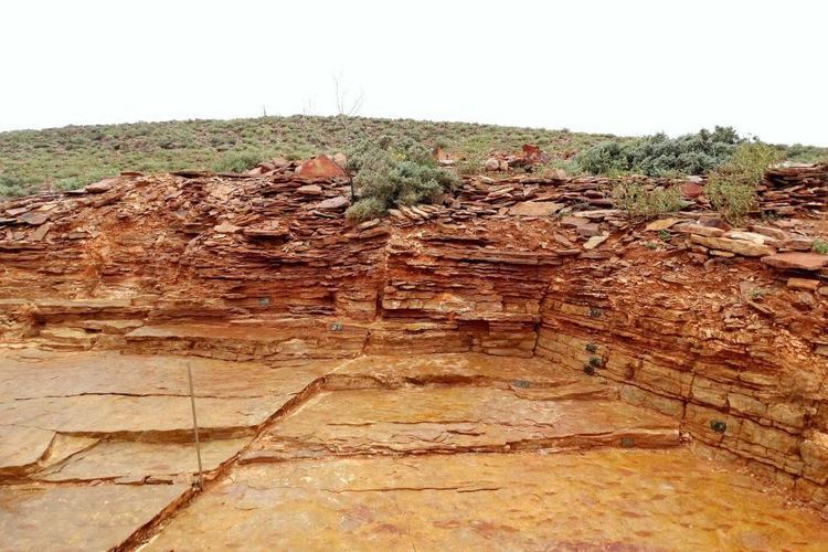 Ediacara Hills Ediacara Hills fossils could fuel postcoal recovery in South
