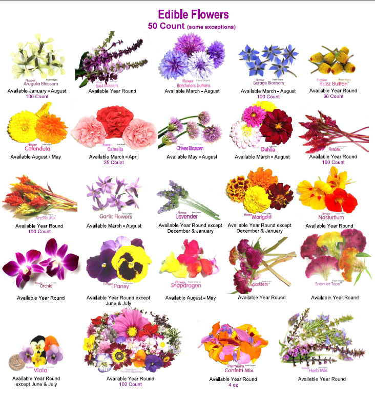 Edible flower 1000 images about Edible Flower Information on Pinterest Gardens
