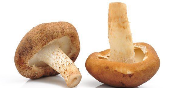 Edible mushroom The Edible Mushroom Quiz ProProfs Quiz