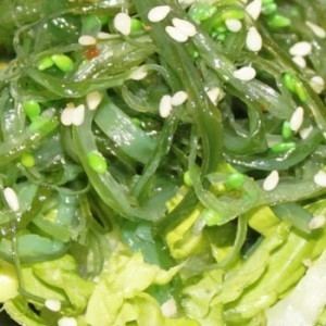 edible seaweed nova scotia