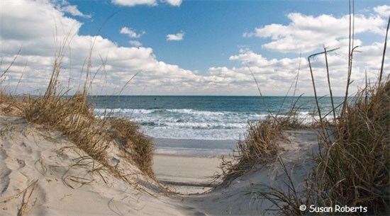 Edisto Beach, South Carolina wwwtownofedistobeachcomDataSites1mediamorni