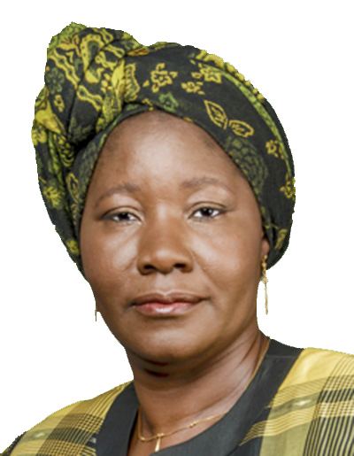 Edith Nawakwi NAWAKWI Edith Z Electoral Commission of Zambia